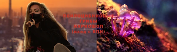 гашик Абинск