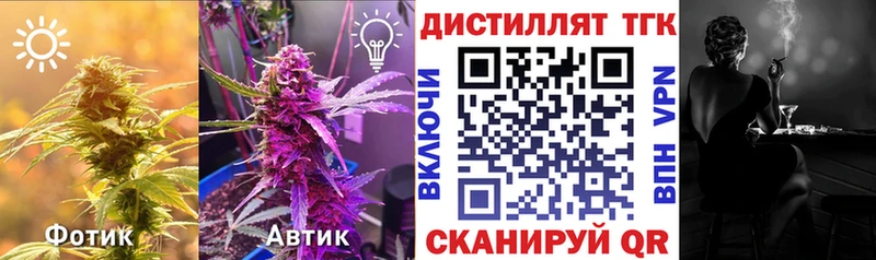ТГК Wax  Сарапул 