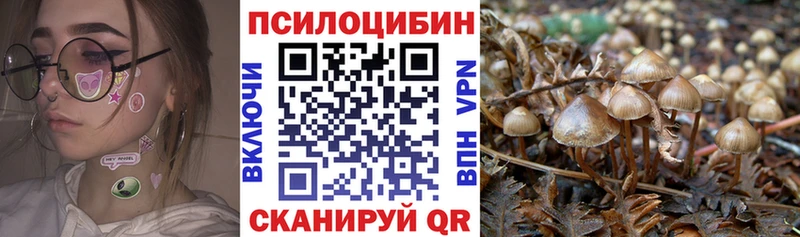 Галлюциногенные грибы Psilocybe  закладки  маркетплейс формула  Сарапул 